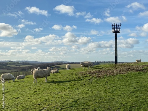 Fotografie Winchelsea brede valley in East Sussex view with sheep, Brede Valley a stretch of Sussex countryside near Rye, and Winchelsea