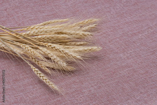 Wheat ears on a pink tablecloth