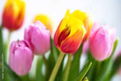a bouquet of colorful tulips on a light background close-up