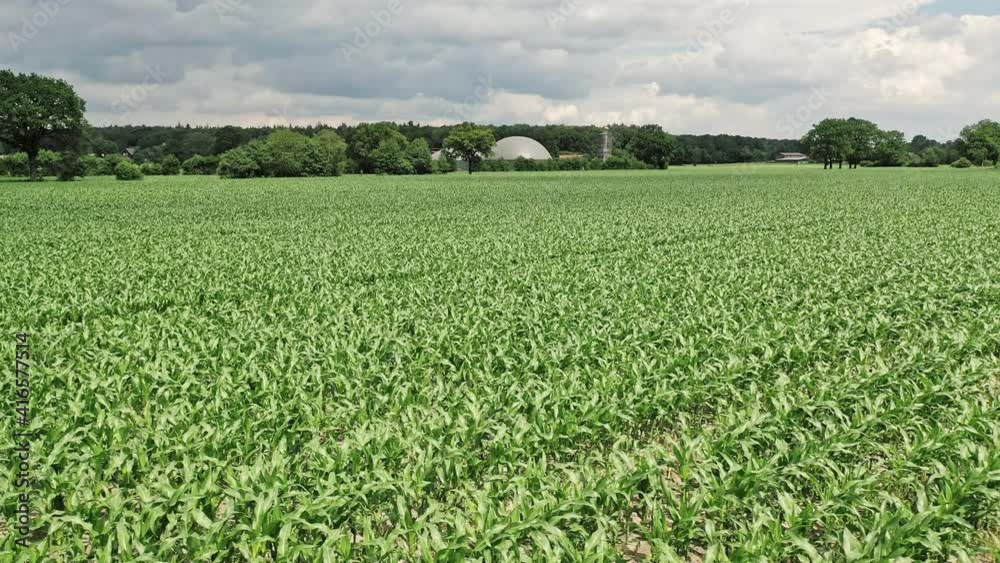 biogas plant in maize field