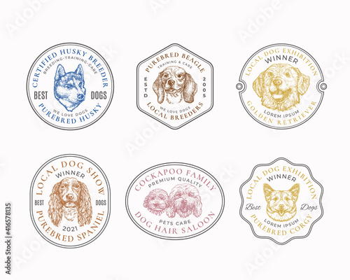 Dog Breeds Frame Badges or Logo Templates Collection. Hand Drawn Husky, Spaniel, Retriever, Corgy and Beagle Dogs Face Sketches with Retro Typography and Borders. Vintage Premium Emblems Set. Isolated