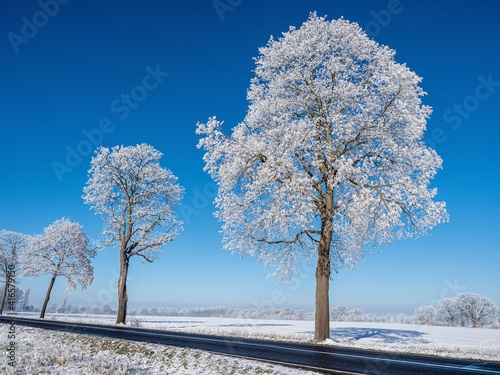 Winterlandschaft