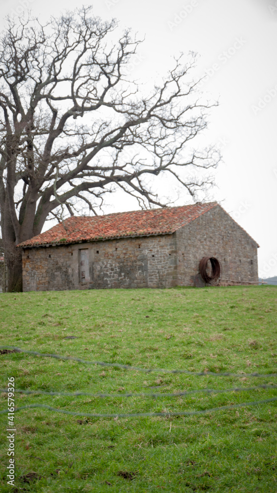 custom made wallpaper toronto digitalCasa de piedra junto a árbol grande con ramas secas en pradera de hierba verde en granja en asturias