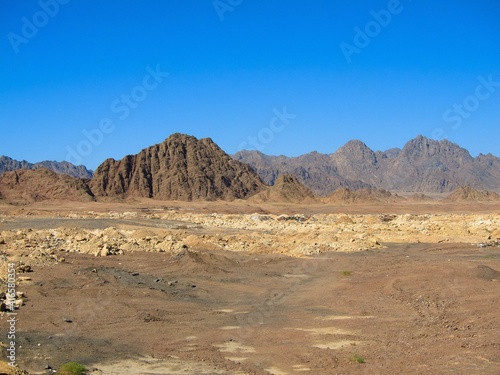 Peninsula del Sinai