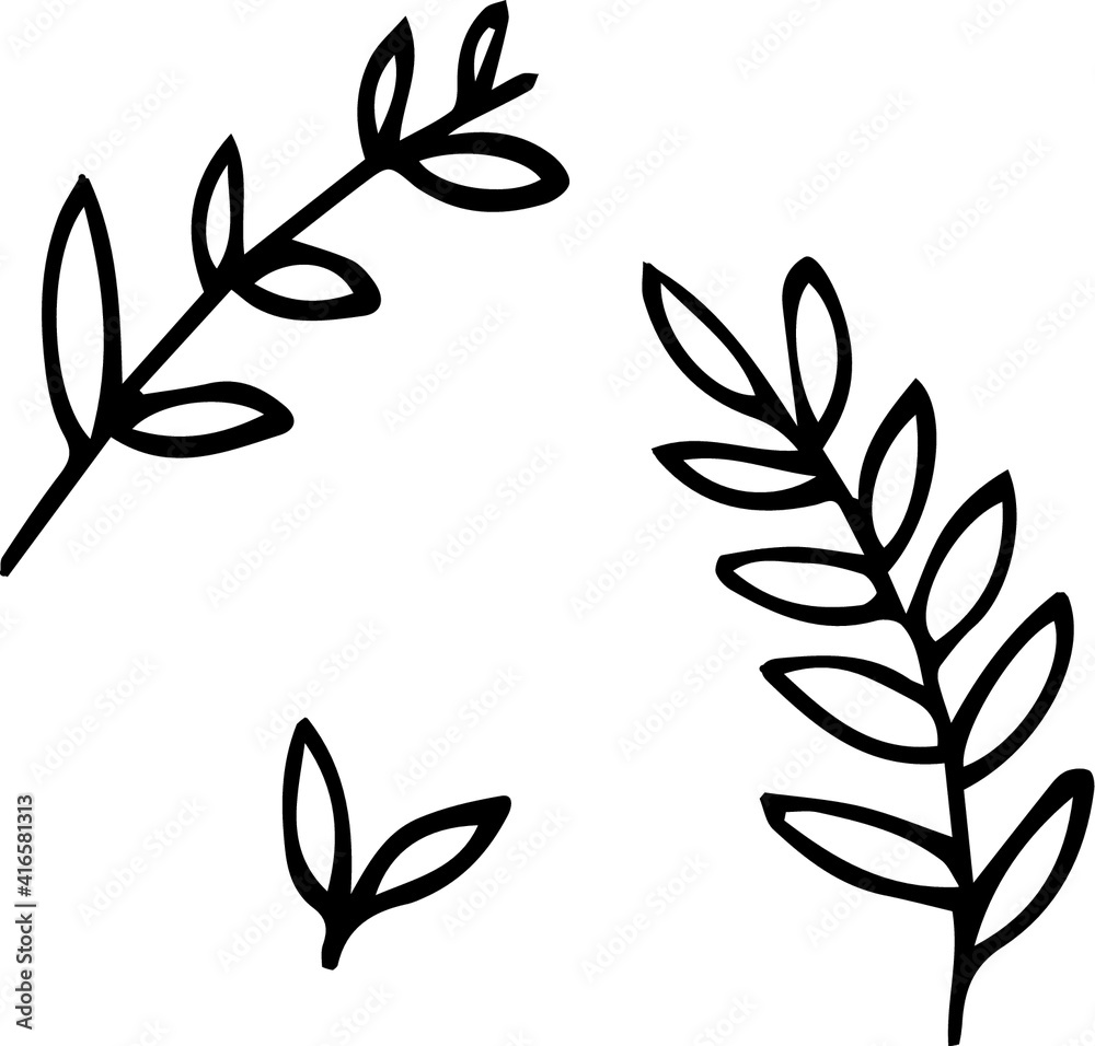 Cute little vector - herbs, nature and organic.  Hand drawn isolated illustration.