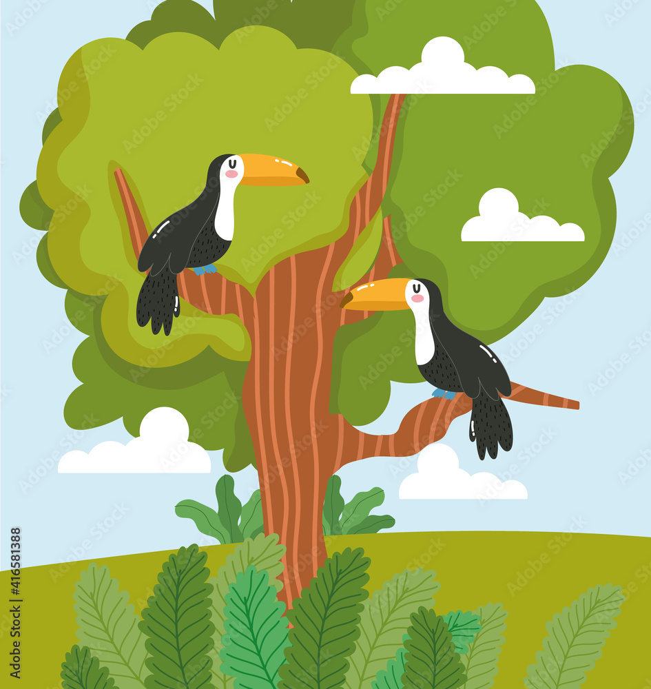 Fototapeta premium Animals toucan tree