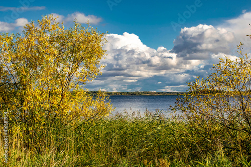 Fototapeta Naklejka Na Ścianę i Meble -  View of the forest lake. Shrub in the foreground and blue sky with clouds in the background.