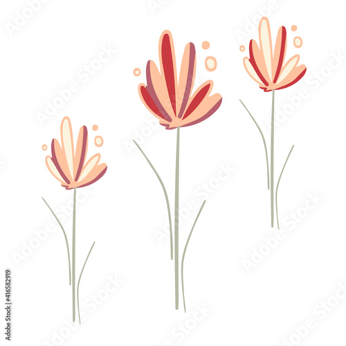 Spring flowers vector. Composition of garden plants in warm colors flat illustration. Floristic element isolated on white background.