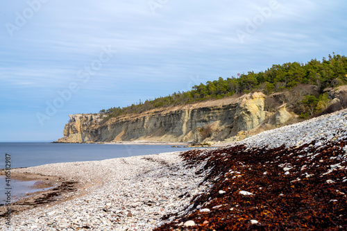 Fototapeta Naklejka Na Ścianę i Meble -  Stone beach with chalk cliff background