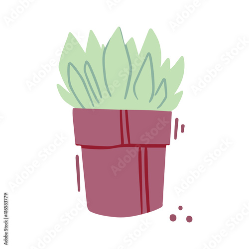 Green houseplant vector. Indoor plant clip art for plant care guide. Home decor and interior graphic element. Floristic illustration isolated on white background.
