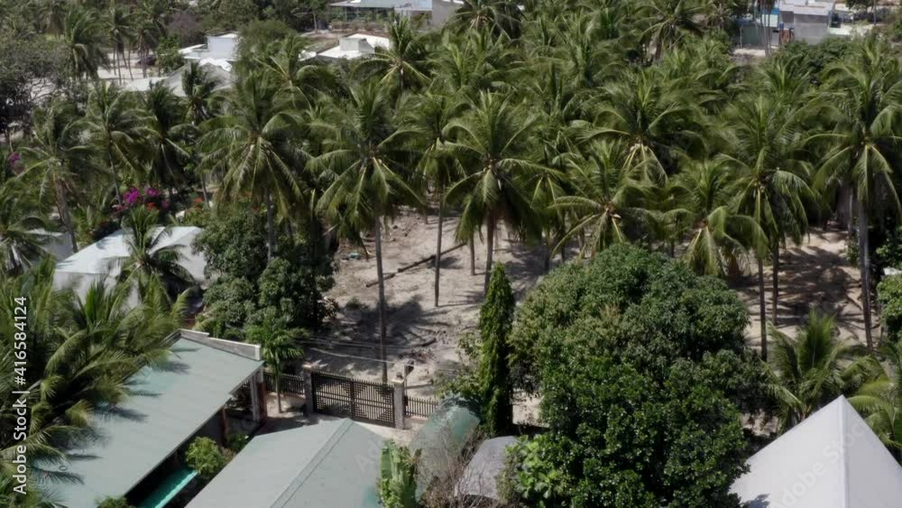 Aerial view to palms and sea. the drone flies at an angle over the