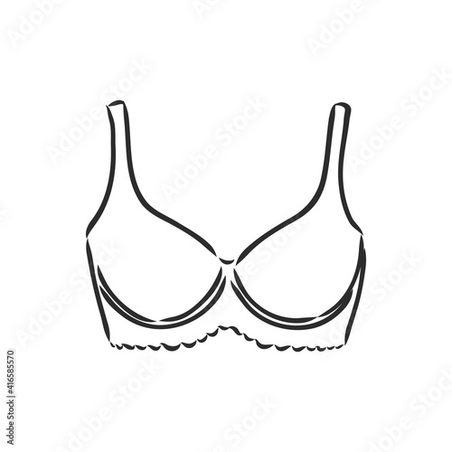Hand Drawn Women s Bra Sketch Symbol isolated on white background. Vector lacy bra In Trendy Style. Woman s underwear hand drawing sketches elements