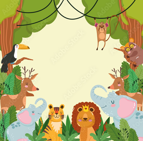 Animals jungle wildlife