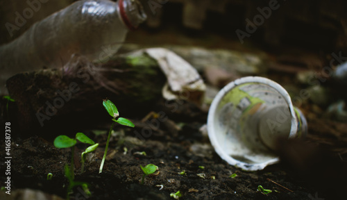 plants growing amidst garbage and plastic
