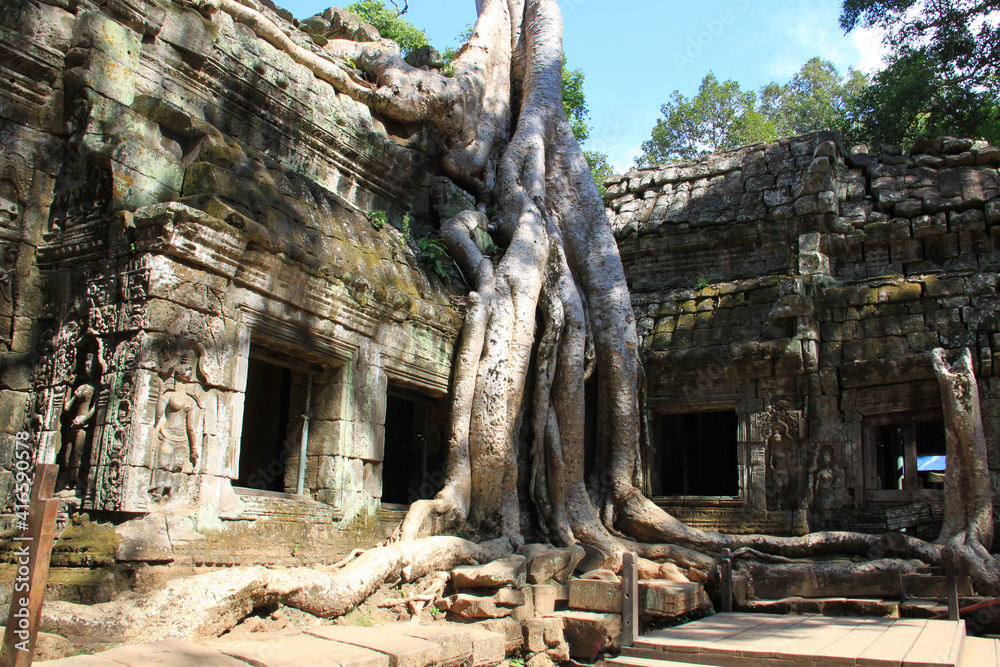 Forest and ruins of Ta Phrom temple in Cambodia