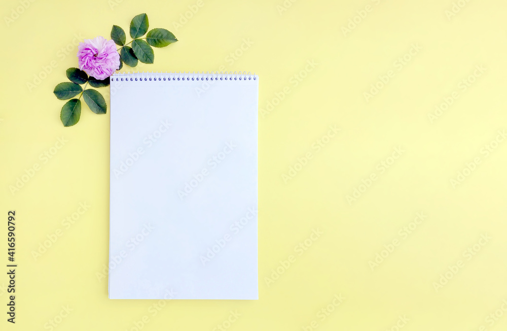 a paper notebook and a garden rose bud on a yellow background. mock up a paper notebook and a garden rose bud on a yellow background. mock up