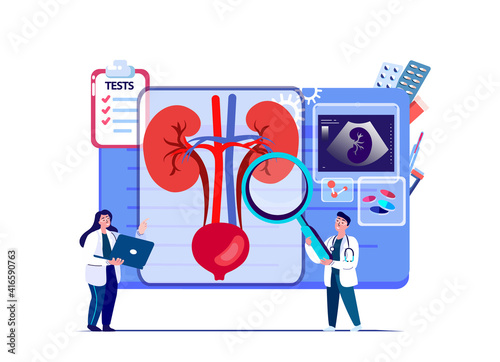 Doctors Nephrologist Scientist Examine,Diagnos Inflamed Kidney,Renal,Nephros.Renal Impairment Digital Treatment.Nephatony Research Trial.Clinical Investigation.Medical Council Diagnostics Illustration