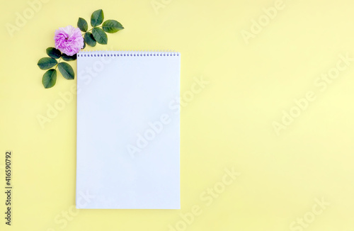 a paper notebook and a garden rose bud on a yellow background. mock up