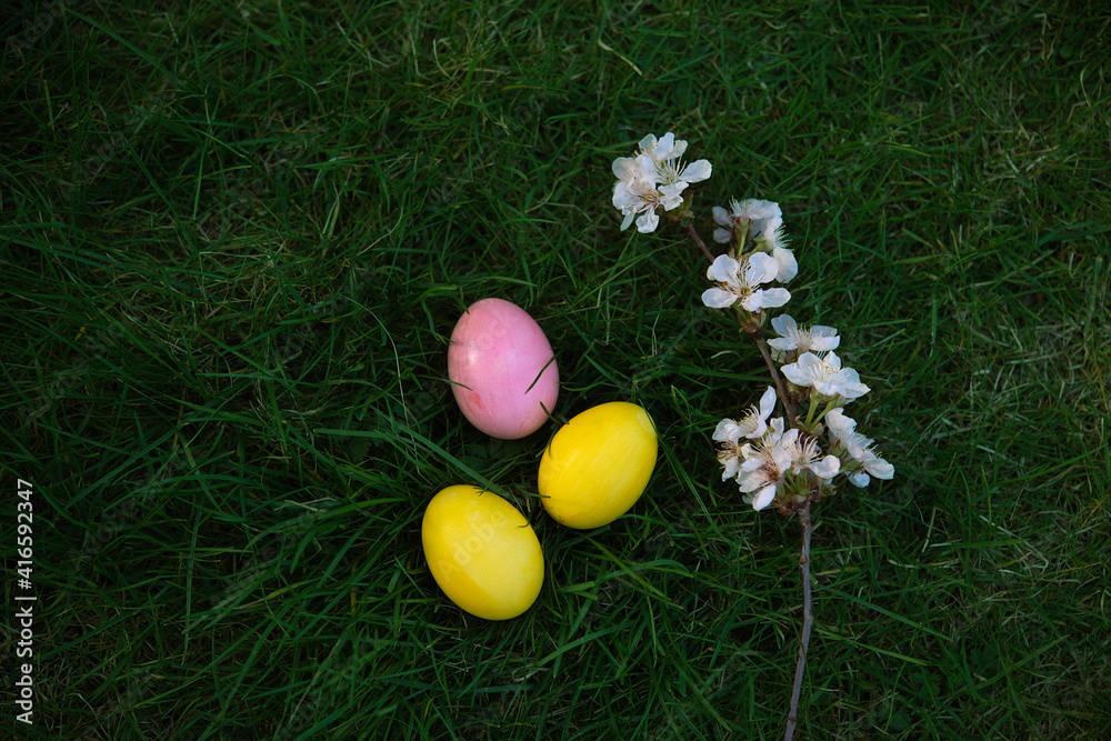 Fototapeta premium Easter, holidays and tradition concept. Colorful Easter eggs painted in pastel colors on grass background with blossom cherry.