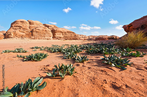 Canvas Print Rocky formations in Wadi Rum desert, bright sun shines on red dust and rocks, Se