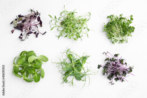 Different microgreens on white background, top view