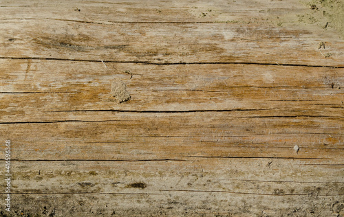 Close-Up of rotting wood, texture of the old spoiled wood damaged, brown color