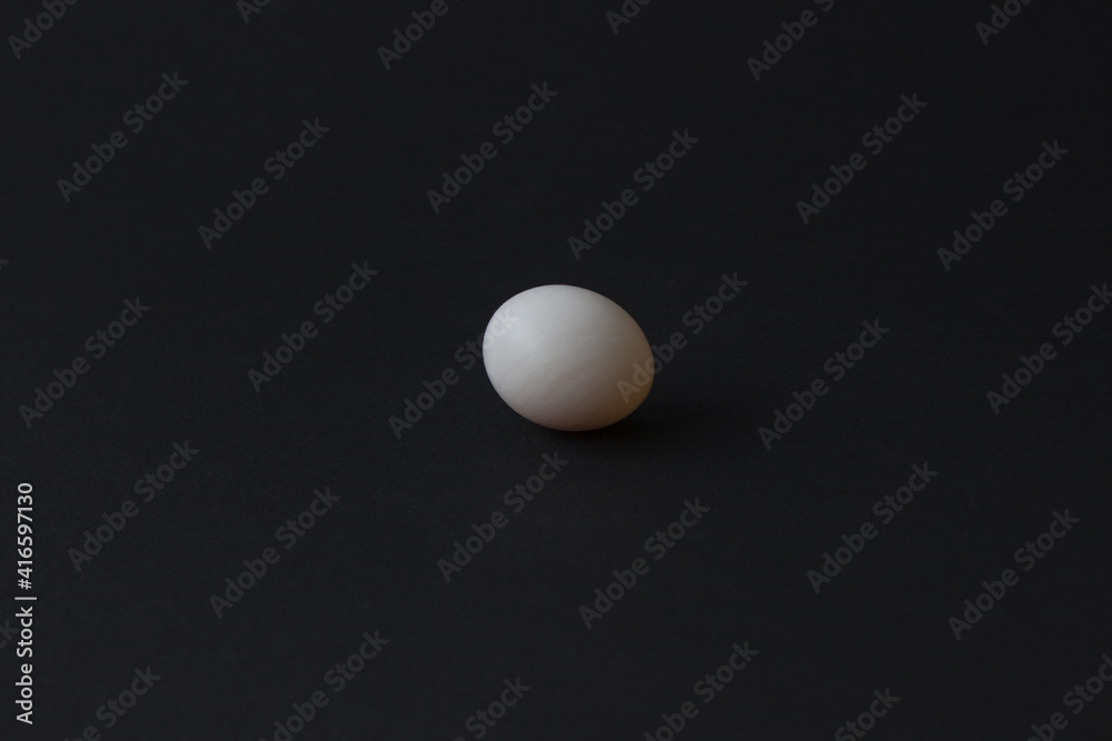 Small cockatiel parrot egg on black background Small cockatiel parrot egg on black background