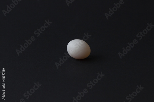 Small cockatiel parrot egg on black background