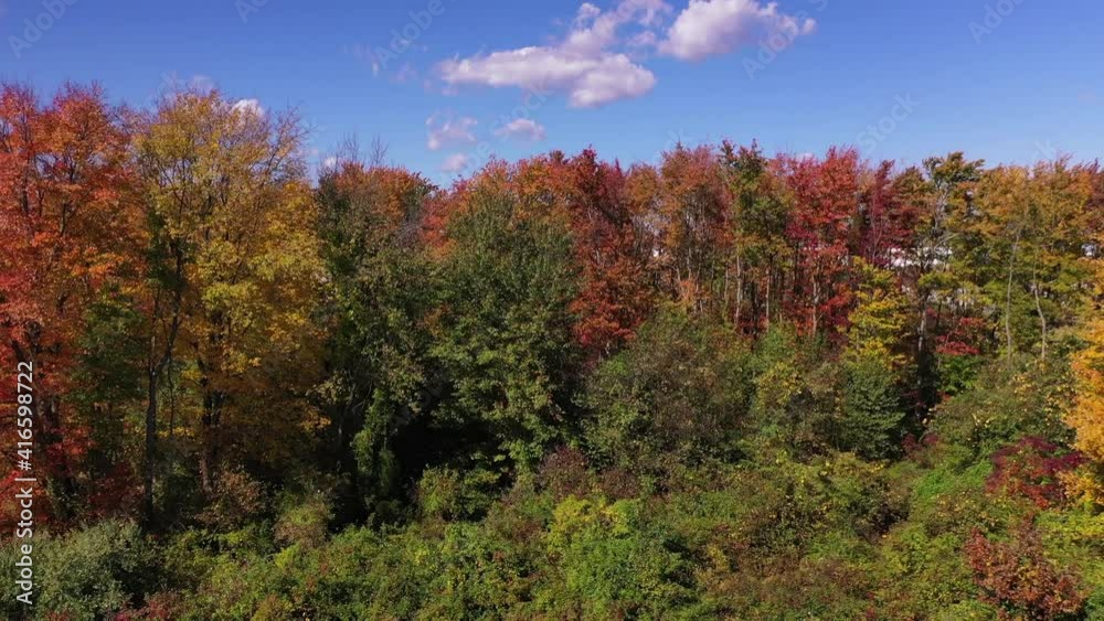 Slider Shot of Trees of Colorful Trees During the Fall Season Slider Shot of Trees of Colorful Trees During the Fall Season