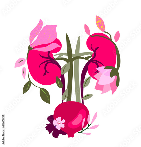 Beautiful Flowered Kidneys,Bladder Nephros,Kidney,Renal System,Flowers.Floral Internal Organ.Nephrology Anatomical Bright Healthy Kidney,Flowers,Herbal Nature.Bloomy Urinary System.Vector illustration