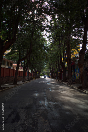 street with trees