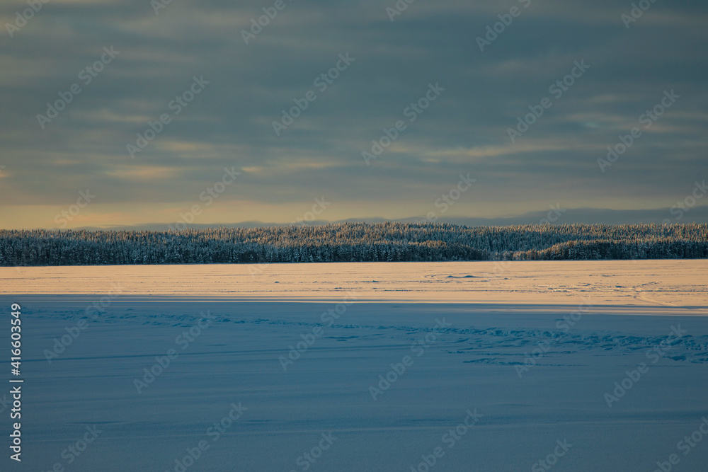 Obraz premium Winter landscape in a quiet Karelian forest.