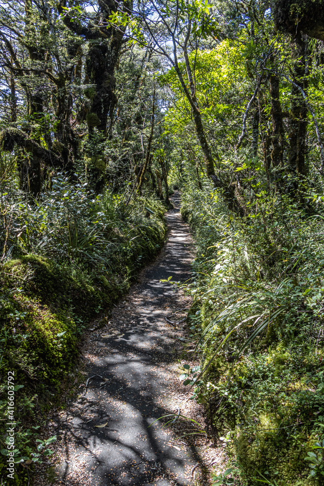 Fototapeta premium Shaded walkway at Whakapapa Village, Tongariro