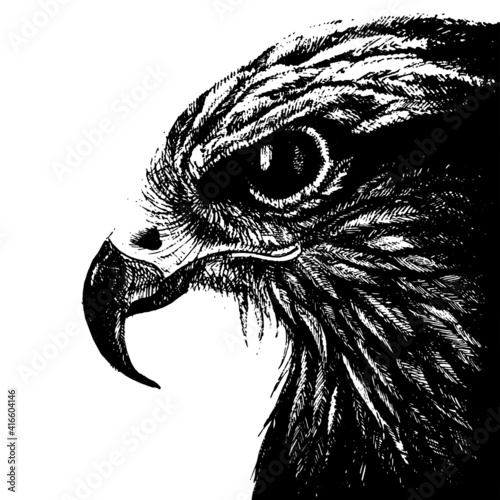 vector graphic freehand drawing of beautiful proud eagle imitation of black ink isolated on white background. can be used as a tattoo, illustrations, printing on T-shirts, postcards, advertising.