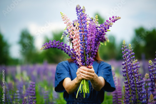 Fototapeta Naklejka Na Ścianę i Meble -  A woman in a blue dress on a purple field of lupines holds a large bouquet of flowers in front of her.