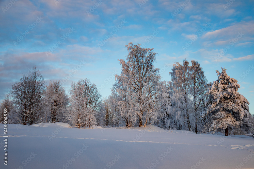 Winter landscape in a quiet Karelian forest. Winter landscape in a quiet Karelian forest.
