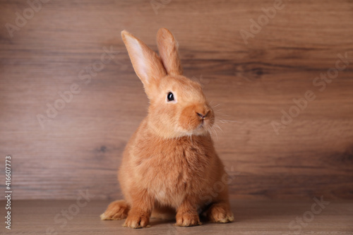 Cute bunny on table against wooden background. Easter symbol