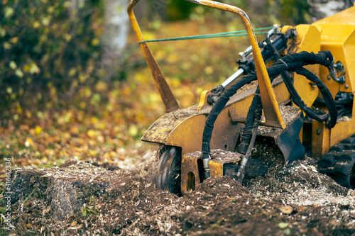 The yellow stump cutter performs strain milling work by cutting the birch strain. shallow depth of field