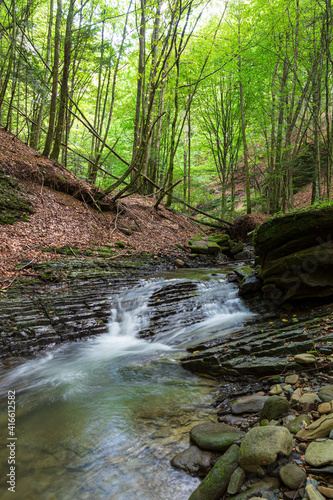 Turichka river near Lumshory village. TransCarpathia  Carpathians. Ukraine.