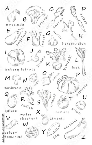 ABC English food alphabet. Fruits  vegetables  nuts. Vegetarian  vegan  healthy food. Black and white hand drawn charcoal drawing. Learn the English alphabet. Vocabulary. Isolated on white. Vector.