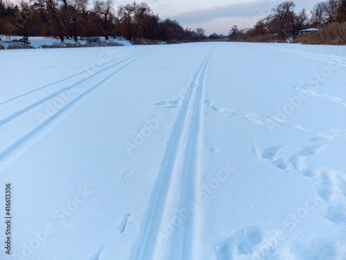 Cross-country wild ski track lines on snow going forward in evening blue light. Active sport recreation in winter
