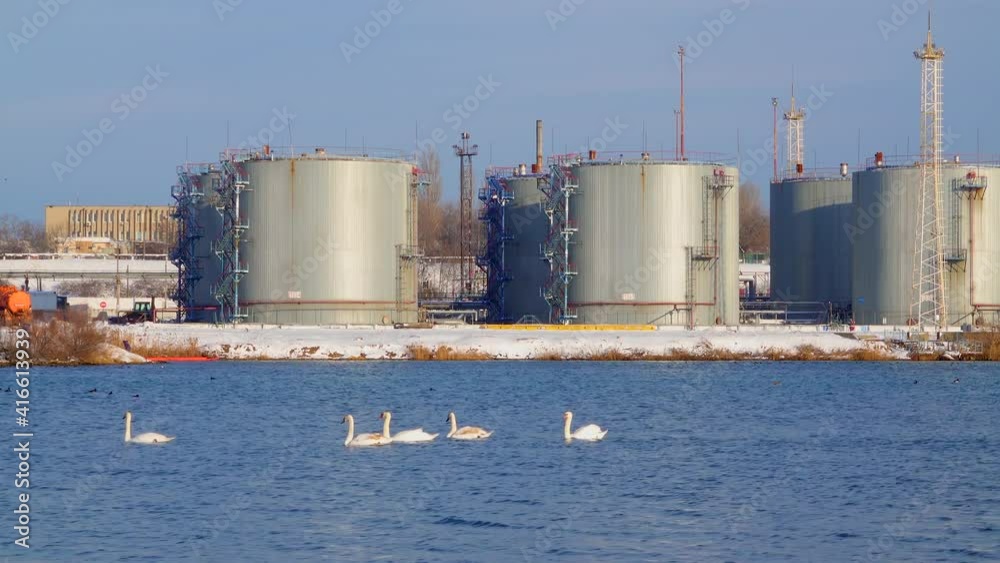 Industrial landscape. Wild birds swans and seagulls in the water area of the seaport, Ukraine Industrial landscape. Wild birds swans and seagulls in the water area of the seaport, Ukraine