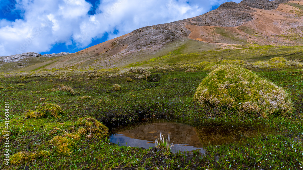custom made wallpaper toronto digitalsprings of water that come out of the hills and form freshwater streams in the cold Andes of Peru