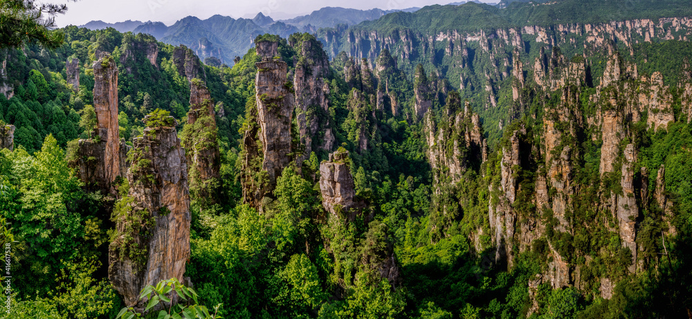 Obraz premium Forest and mountains