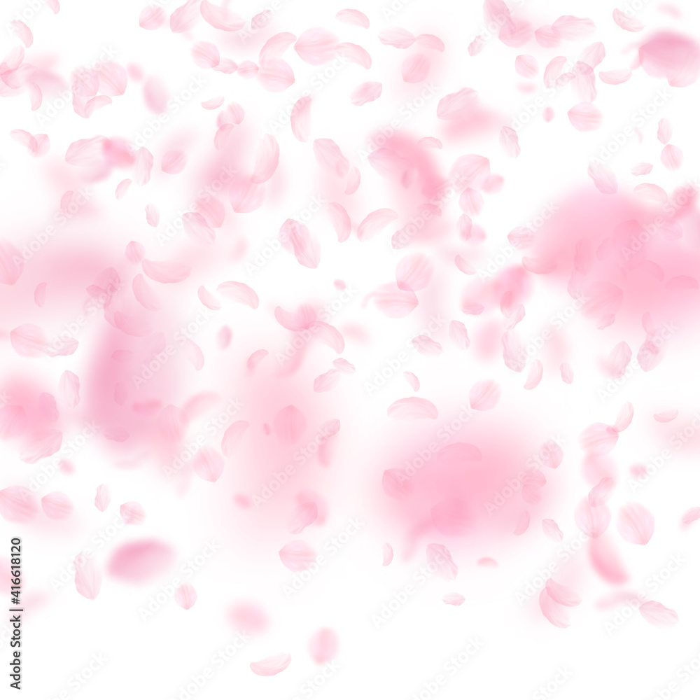 Sakura petals falling down. Romantic pink flowers gradient. Flying petals on white square background