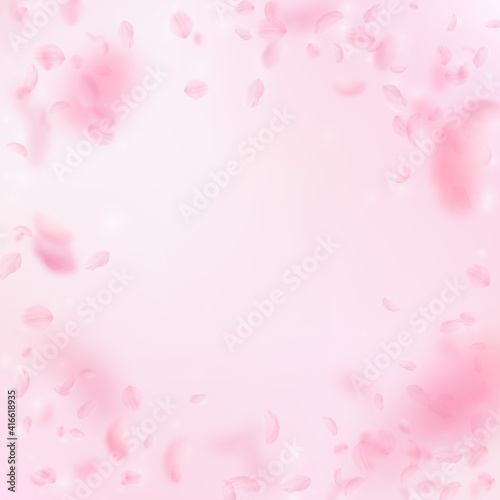 Sakura petals falling down. Romantic pink flowers vignette. Flying petals on pink square background.