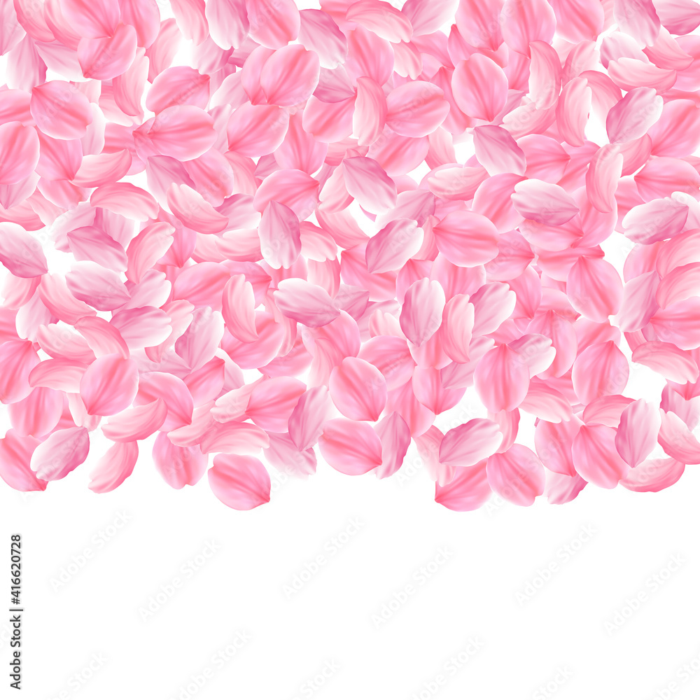 Fototapeta premium Sakura petals falling down. Romantic pink bright big flowers. Thick flying cherry petals. Top gradie