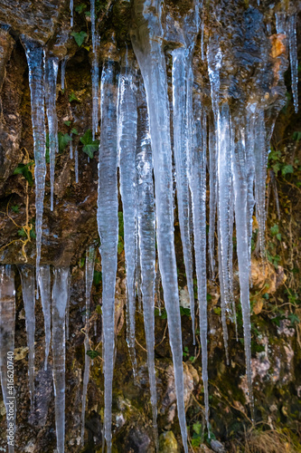 Spectacular ice stalactites in nature  beautiful contrasts of colors in the middle of the rocks and the green and yellow moss  end of February in the mountain countryside of northern Italy.