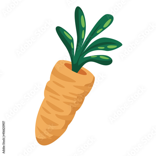 fresh carrot vegetable isolated icon