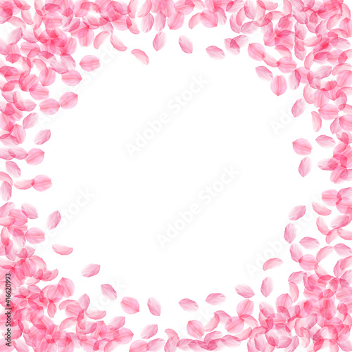 Fototapeta Naklejka Na Ścianę i Meble -  Sakura petals falling down. Romantic pink silky medium flowers. Thick flying cherry petals. Circle f